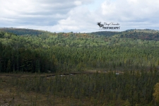 View at Algonquin Visitor Centre