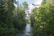 Oxtongue River