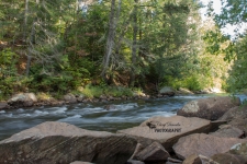 Whiskey Rapids