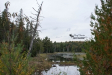 View from Highway 60