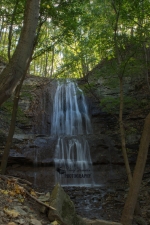 Sherman Falls - Potrait