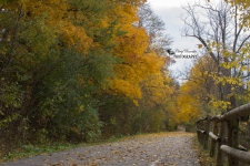 Springbank Park