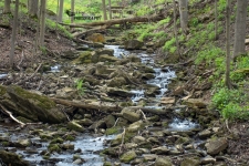 Dundas Valley Conservation Area