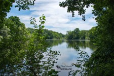 Dorchester Mill Pond