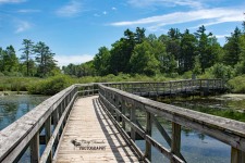 Dorchester Mill Pond