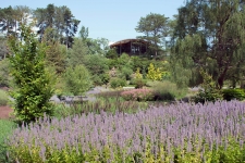 Rock Garden at RBG Canada