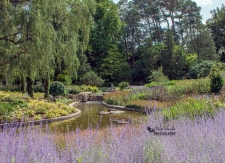 Rock Garden at RBG Canada