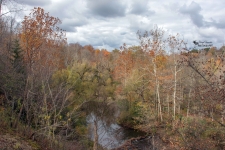 Medway Valley Heritage Forest