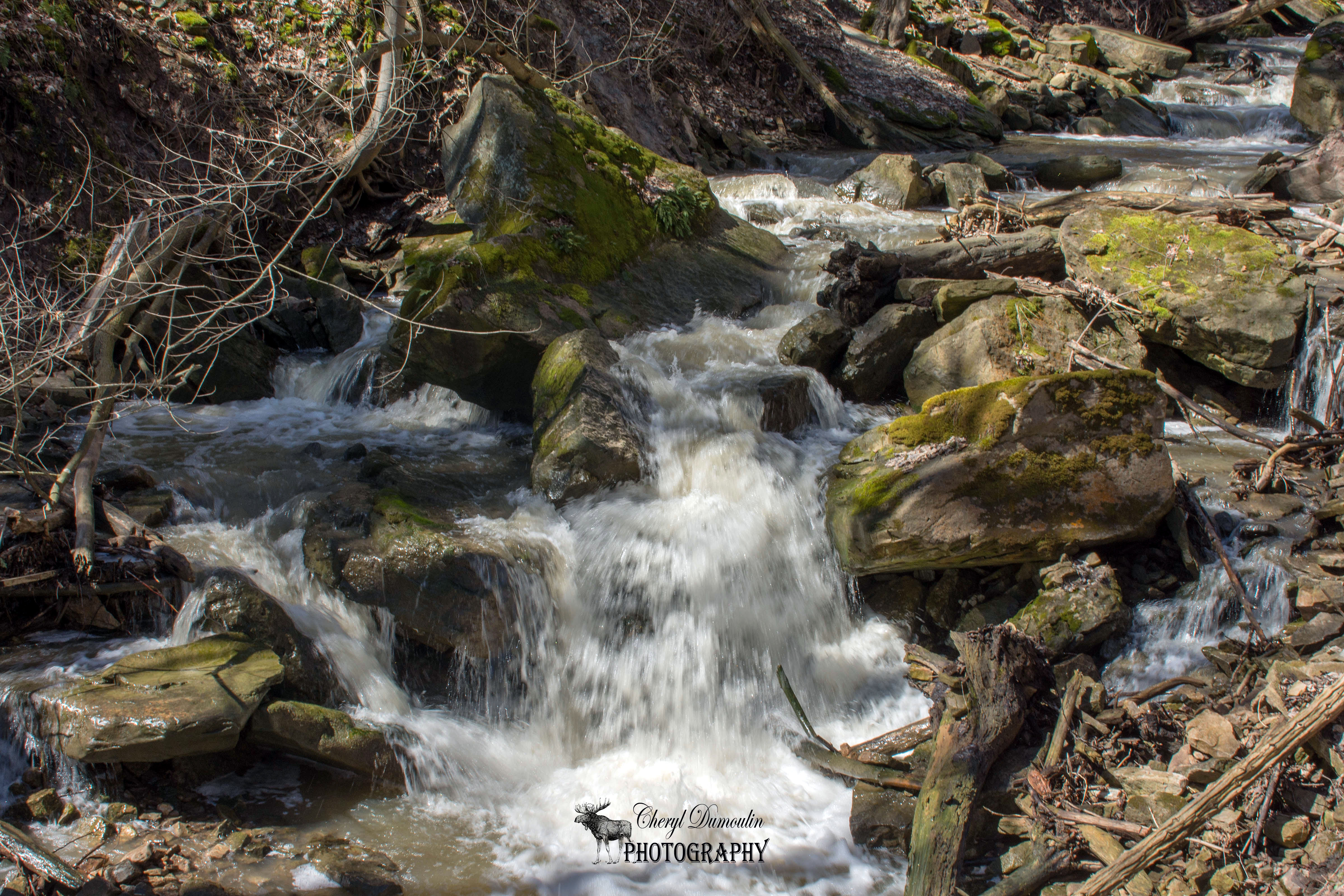 Borer’s Falls Conservation Area