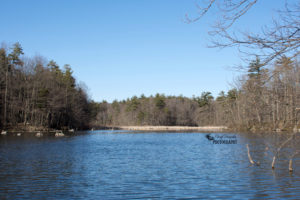 Springwater Conservation Area