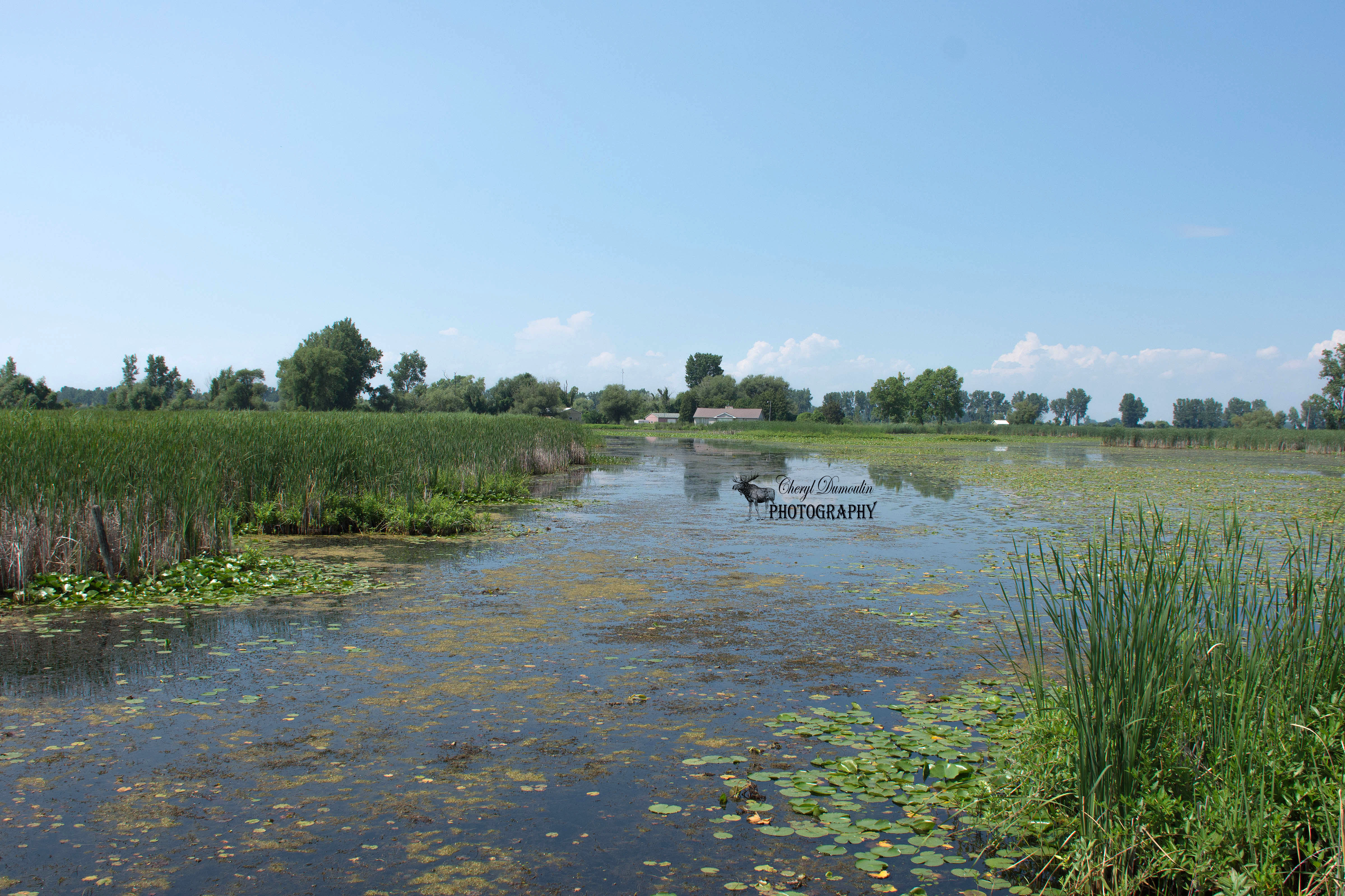 St Clair National Wildlife Area