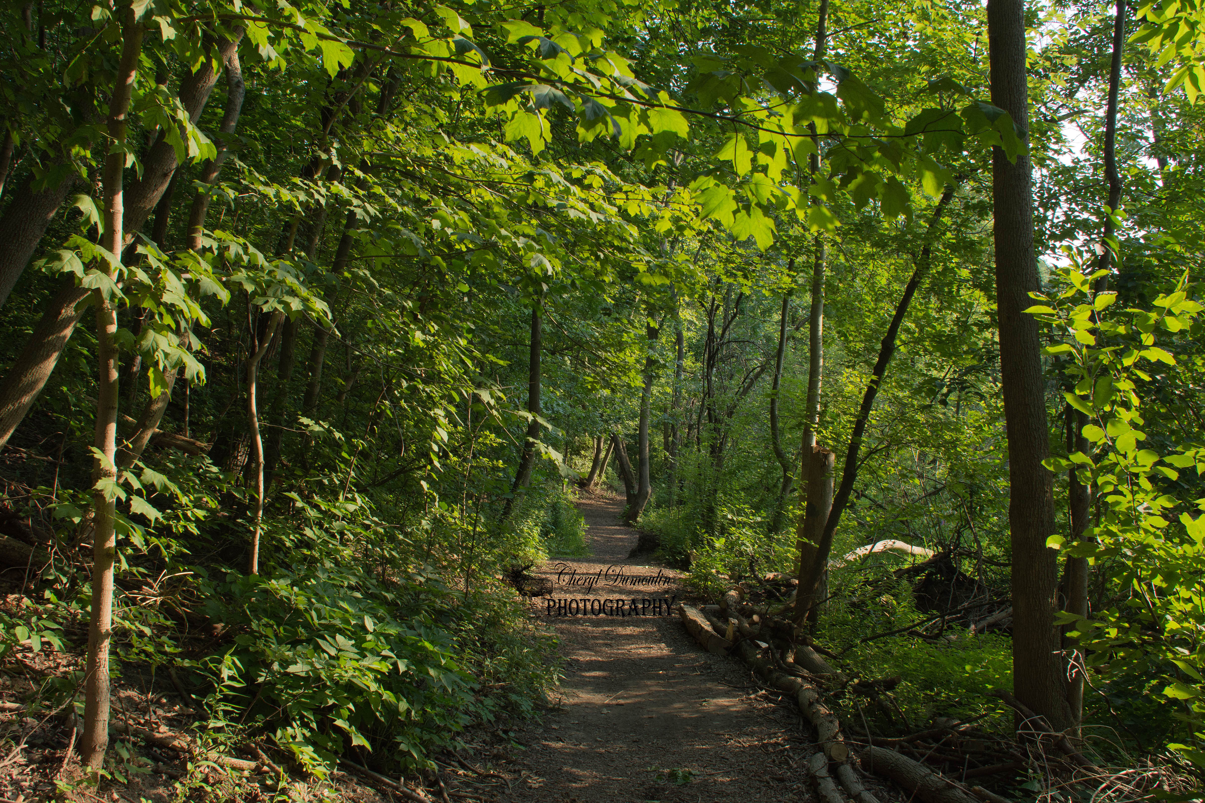 The Coves Environmentally Significant Area – Summertime Visit