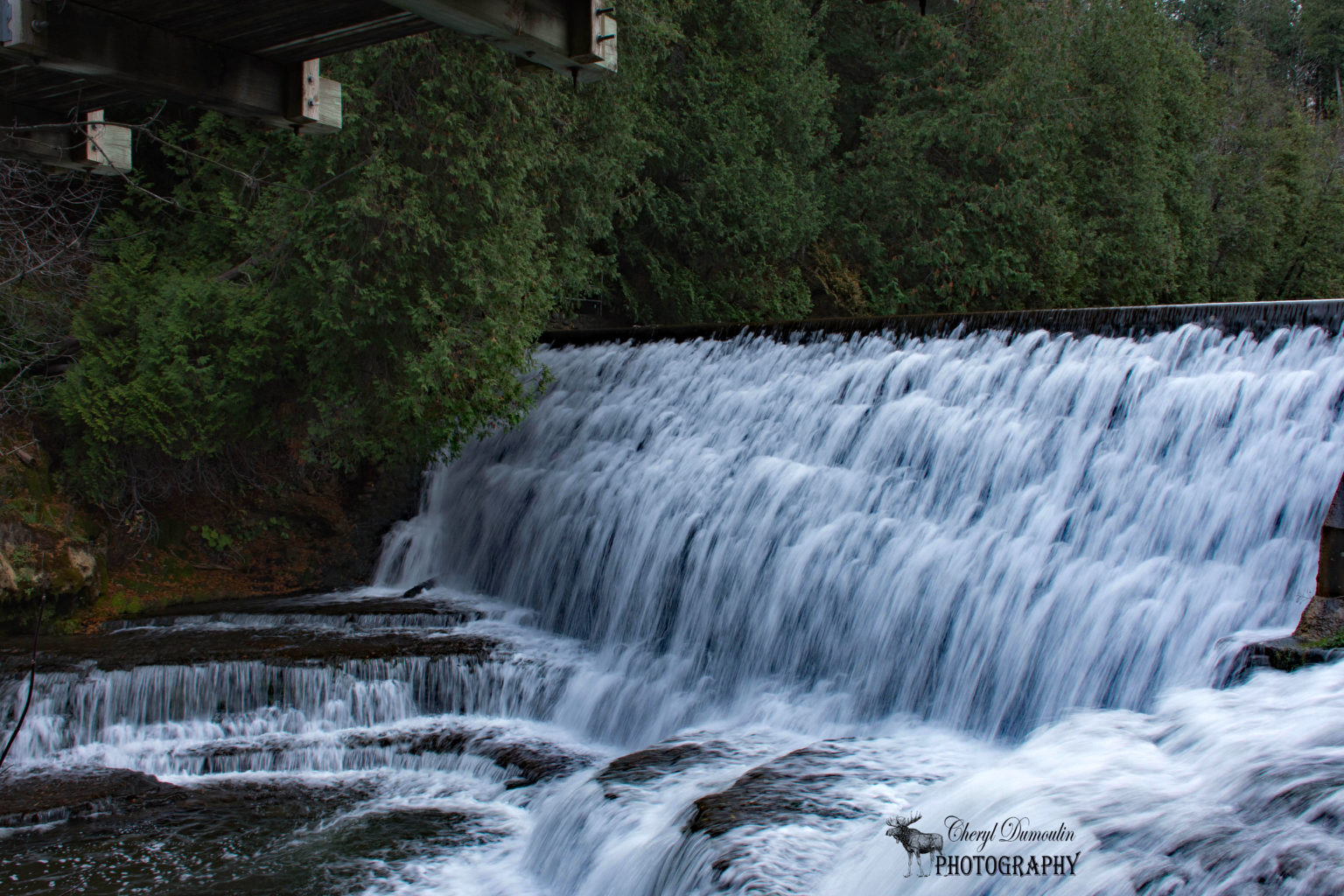 Belfountain Conservation Area and Cheltenham Badlands • Cheryl Dumoulin