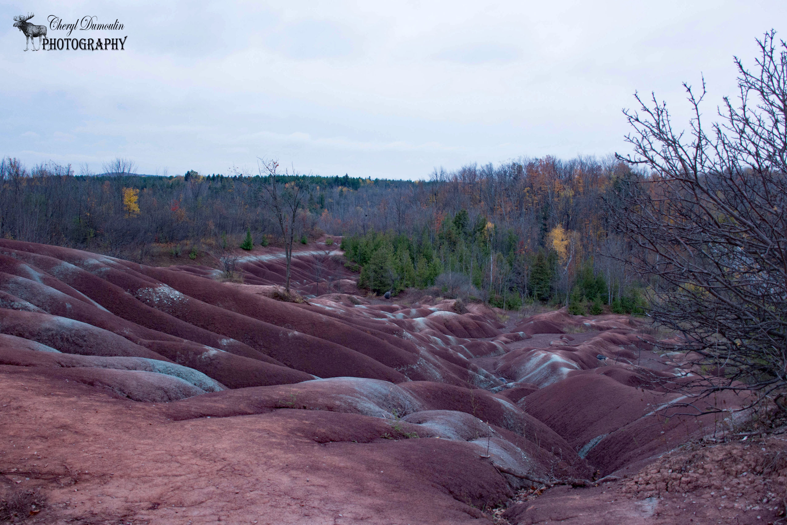 Belfountain Conservation Area and Cheltenham Badlands