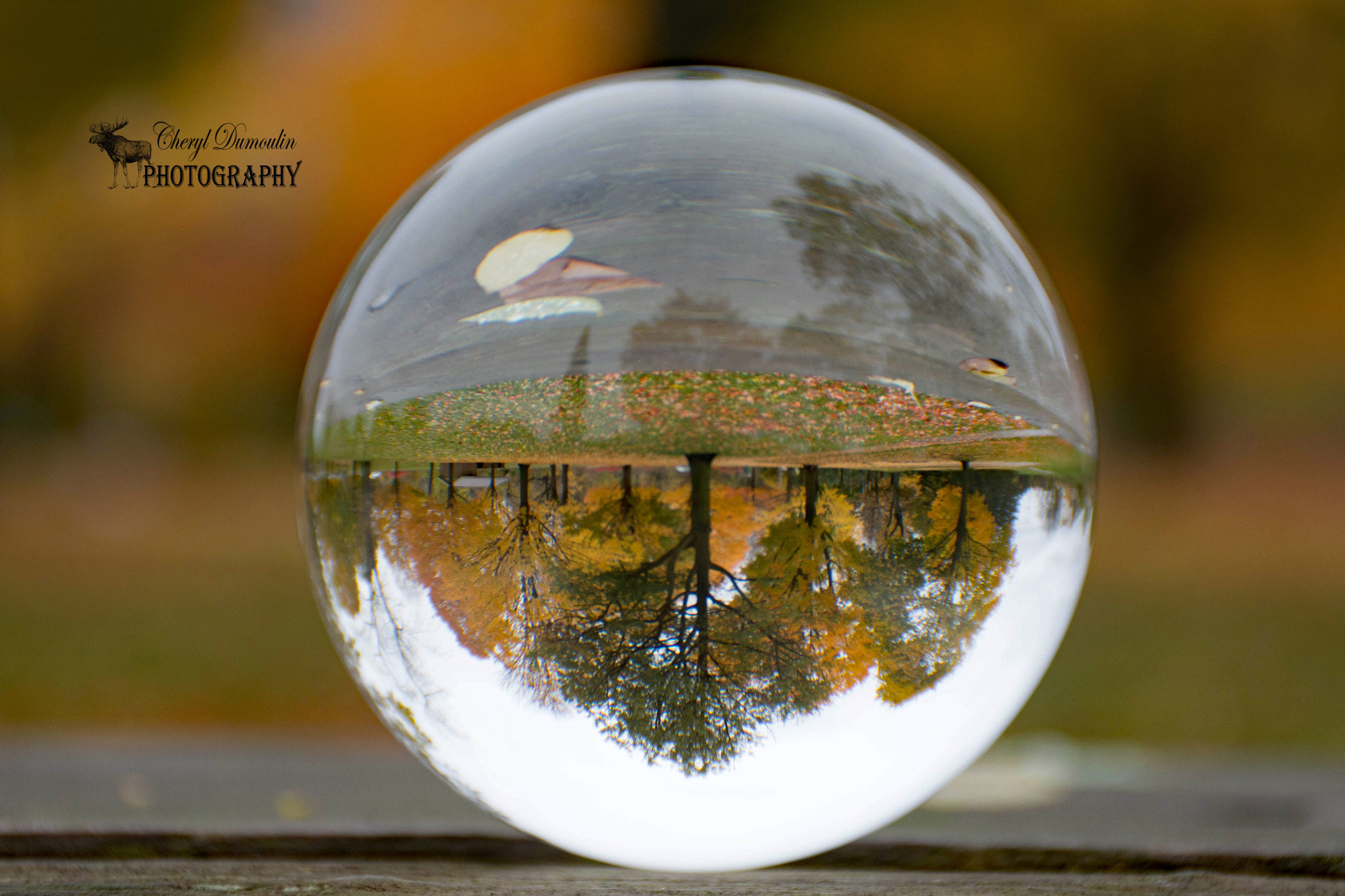 Fall fun with my Lensball